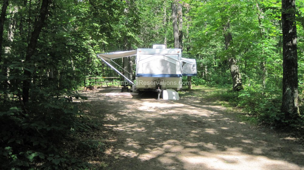 Photo of Campsite 50 in Wild River State Park Campground C Loop at